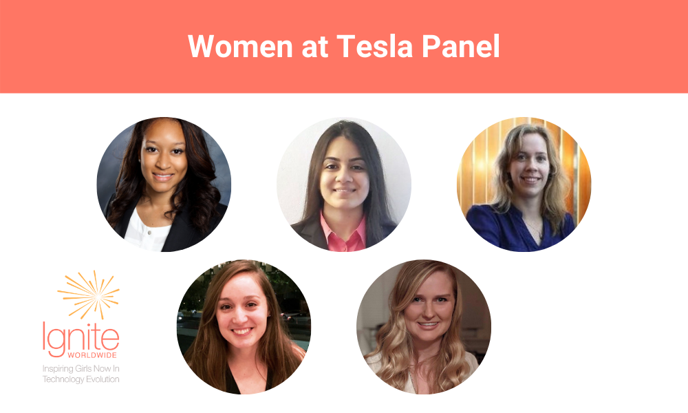 Tesla Panel